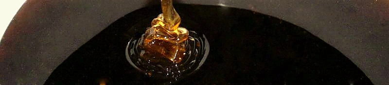 Fotogaléria 11