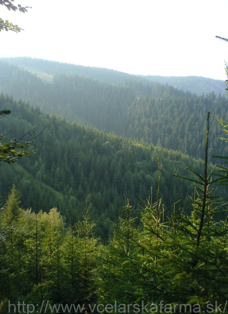 DSC07015