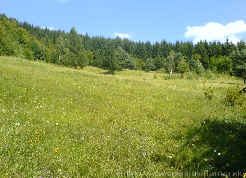 Včelárska farma Šútorka1,