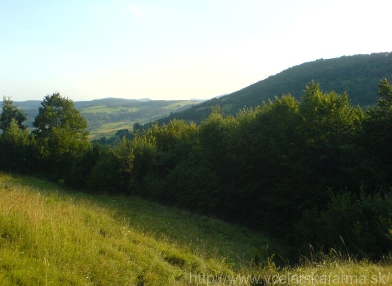 Včelárska farma Šútorka3