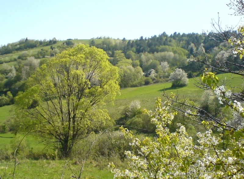 Včelárska farma Šútorka4